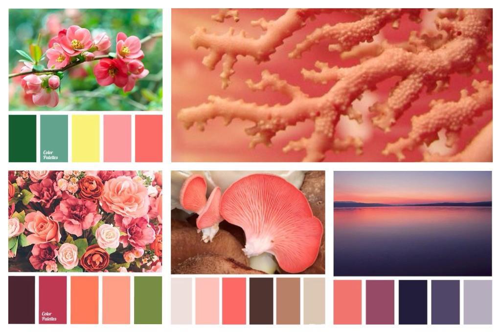 Coral цвет. Коралловый палитра. Коралловый цвет палитра. Сочетание цветов коралловый. Коралловый цвет сочетание.